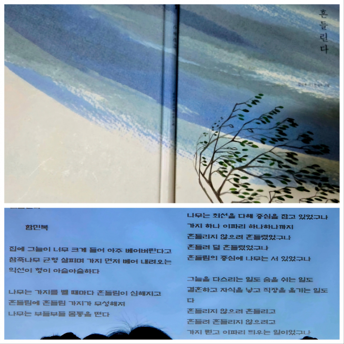 함민복의 시 흔들린다