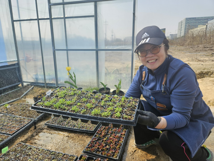 손바닥정원단 양묘장에서 싹이 난 모종을 보여주고 있는 우양미 단원