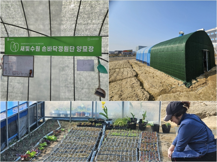 고색동에 위치한 손바닥정원단 양묘장