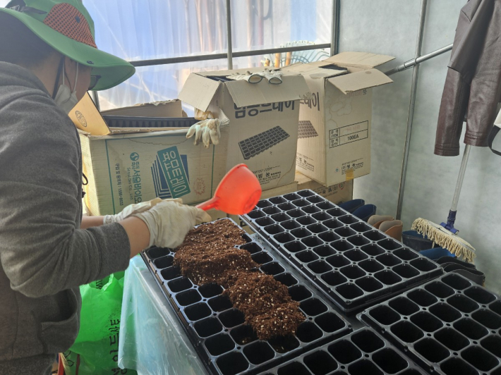 모종을 심기 위해 포트에 흙을 담는 손바닥정원단원