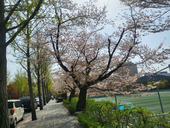아주대 캠퍼스에 만개했던 벚꽃은 어느새 지고, 파릇파릇한 연초록 나뭇잎들이 여성지도자대학 입학생들의 설레는 마음을 닮아 있는 듯하다.