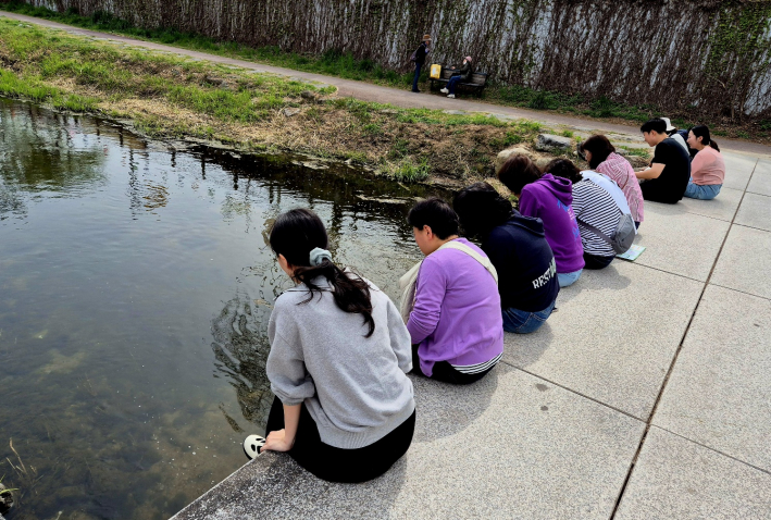 수원천에 잎 띄워 보내기