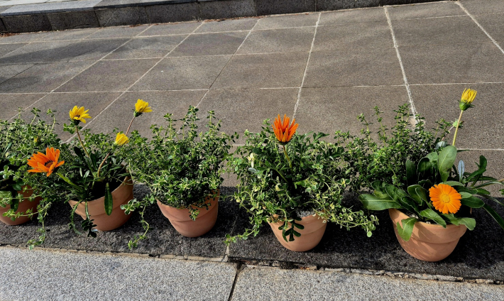 나만의 정원 만들기