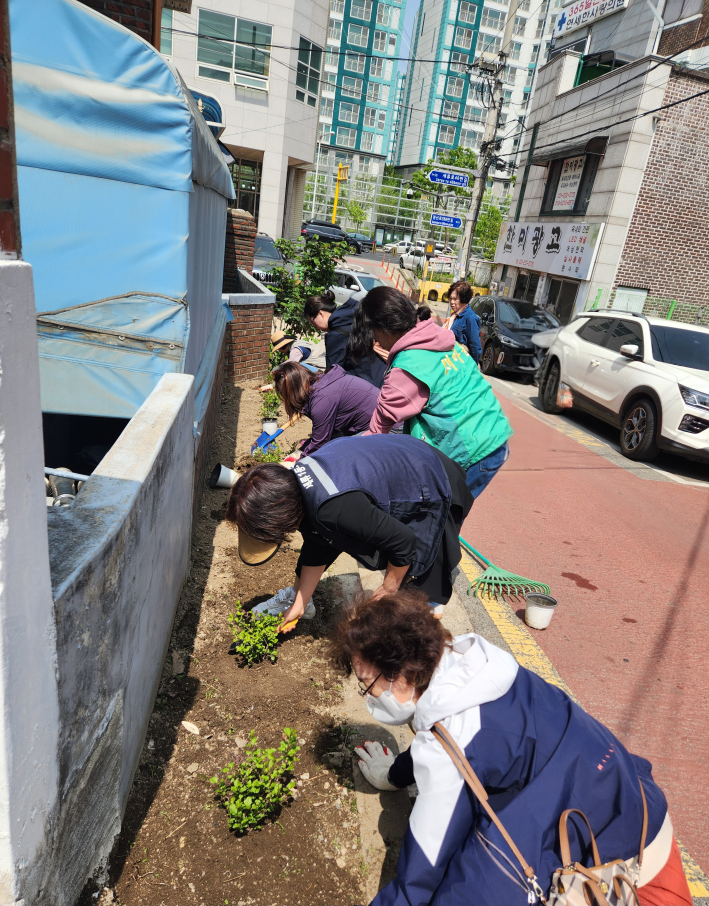 세류1동 직원 및 단체원들이 새봄맞이 꽃 식재를 하고 있다.