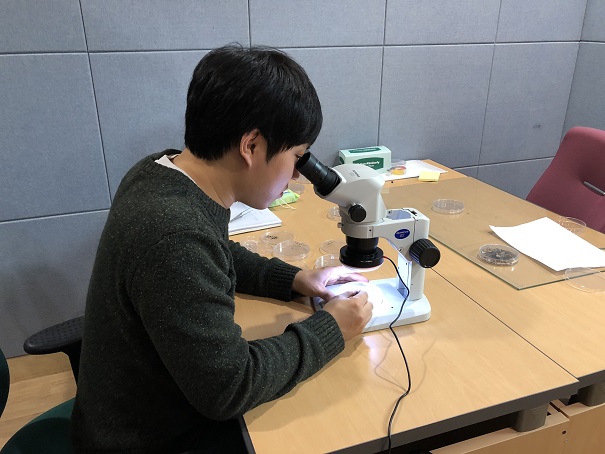 모기 분류 동정