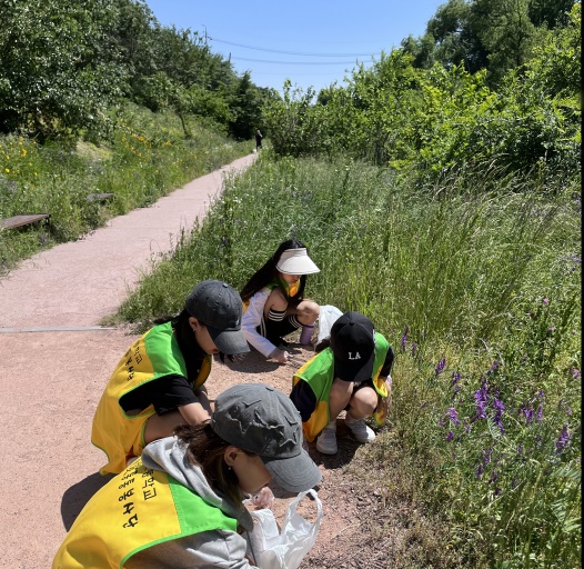 서호천에서 플로깅 활동 중인 통통봉사단 학생들의 모습