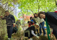 조원2동 단체장과 직원들이 관내 손바닥정원에 무궁화를 식재하고 있다.