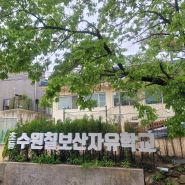 초등 수원칠보산자유학교