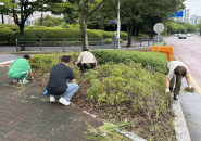 정자1동 환경정비 실시 모습