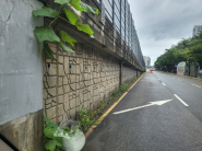 사진) 지난 17일 점검한 영통고가차도 옹벽의 모습    