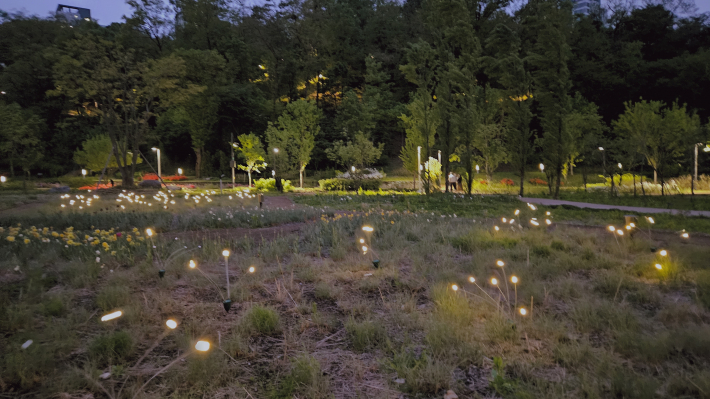 반딧불이처럼 흔들리는 불빛들 