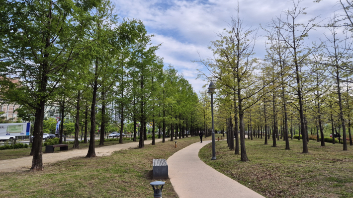 글빛누리공원의 산책길