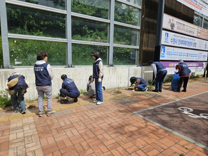 광교2동 통장협의회가 잡초 제거 작업을 진행중이다.