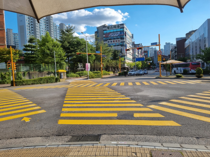 사진2)초등학교 앞 노란색 횡단보도.    