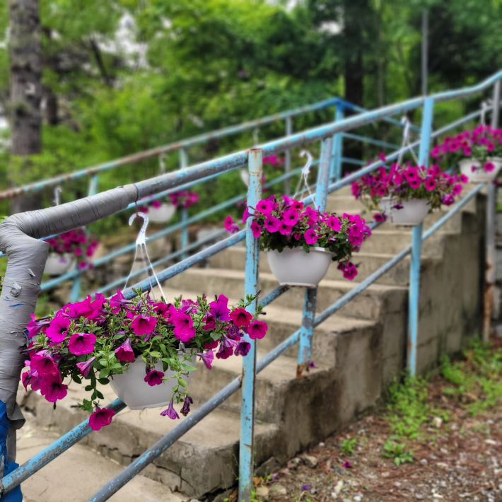 칠보산 자락의 고즈넉한 사찰, 용화사와 무학사
