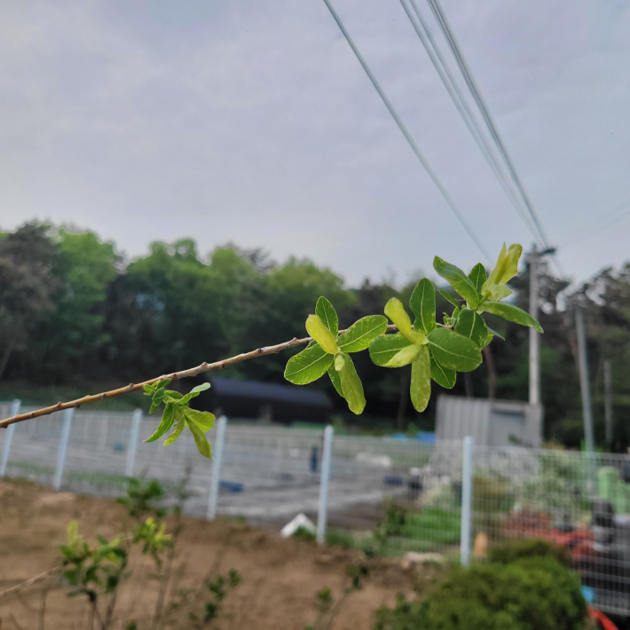 시골풍경이 살아있는 산자락