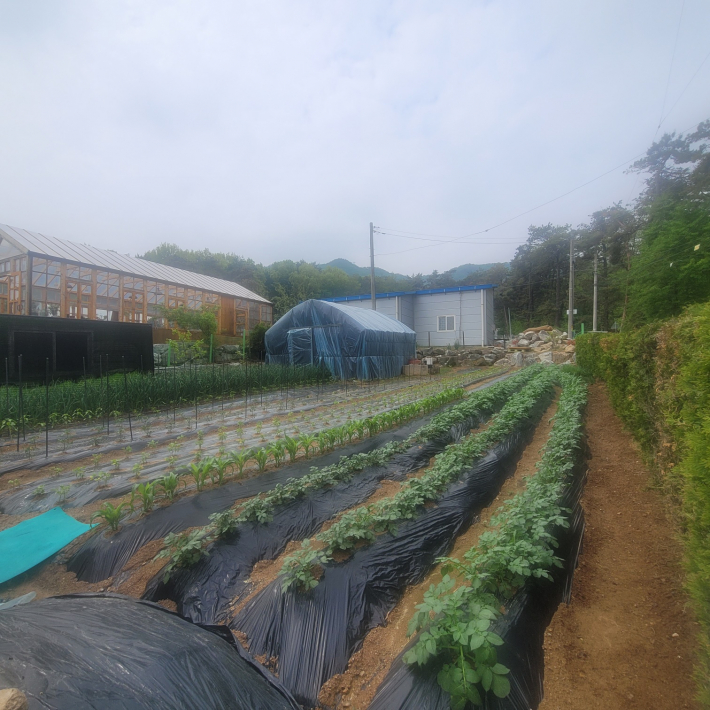 텃밭 구경하며 오르는 등산길
