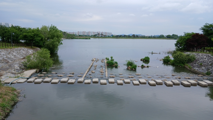 새싹교에서 바라본 서호 전경