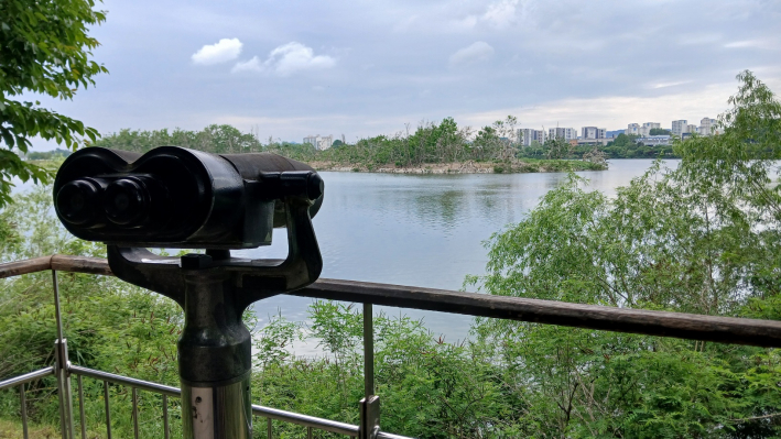 철새들을 관찰 할수 있는 망원경과 인공섬