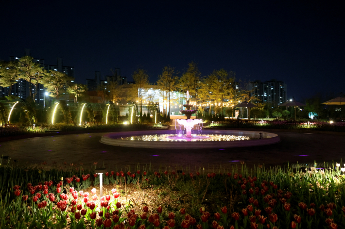 사진1)일월수목원 야간 개장.    