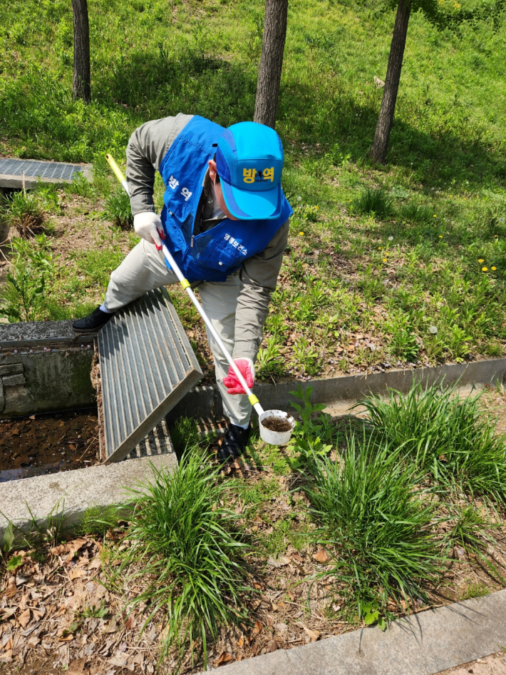 작업자들이 유충서식지를 조사하고 있다