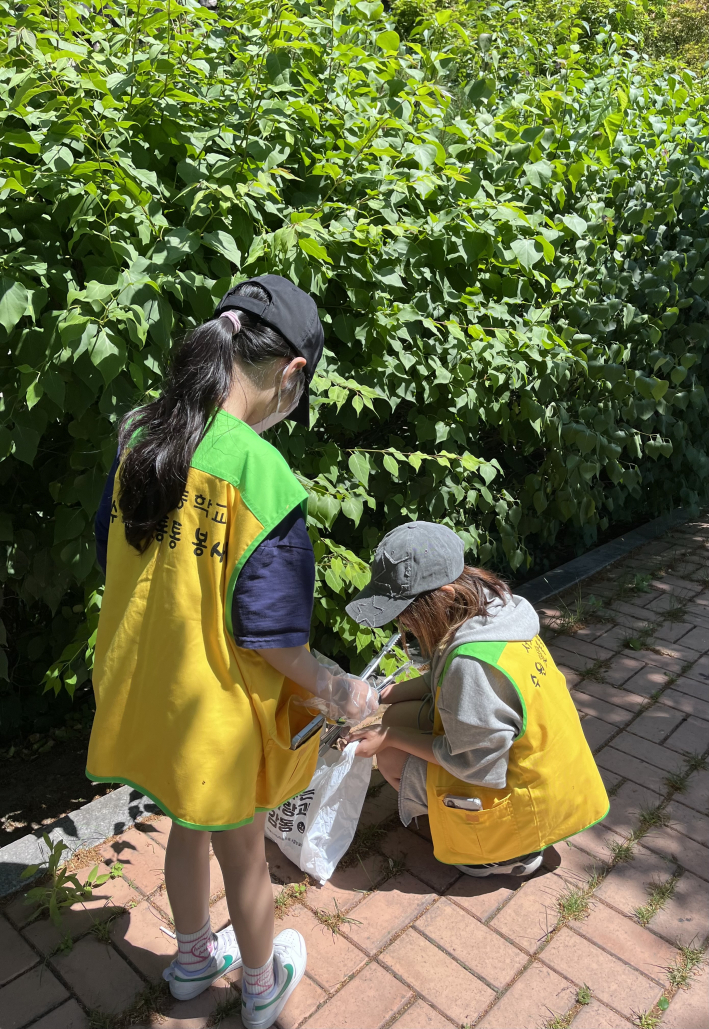 서호천에서 플로깅 활동 중인 통통봉사단 학생들의 모습