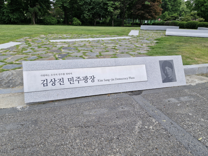 김상진 민주 광장. 큰 느티나무가 그 어떤 속박도 벗어버린 몸집으로 광장 빗돌들을 지키고 있다. 