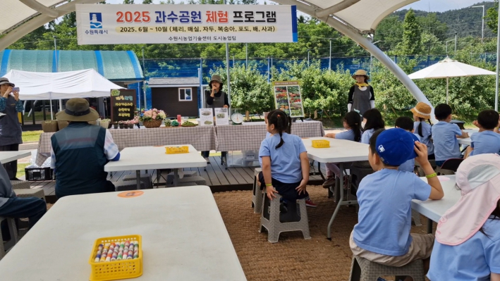과수 공원 체험 프로그램 현장 에서