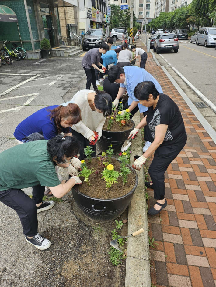 매탄1동 식재 작업