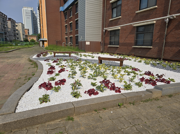 새롭게 조성된 정원 전경