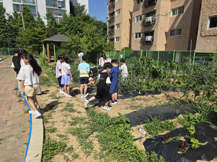 학생들이 텃밭에 작물을 심고 있는 모습. 자연 속에서 배우는 생생한 교육 활동이 인상적이다.