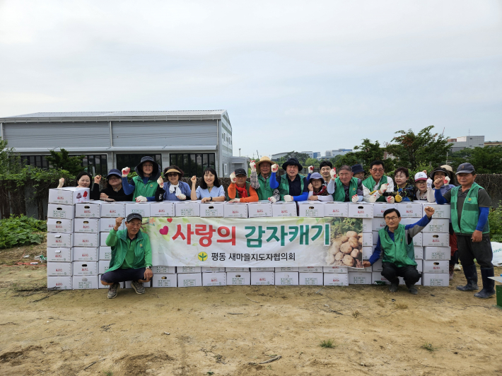 24일, 평동 새마을지도자협의회가 단체원, 평동 행정복지센터 직원들과 사랑의 감자 캐기 행사를 진행했다.