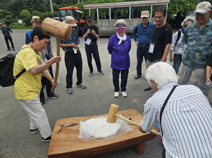 어르신들의 떡메치기 체험이 한창이다.