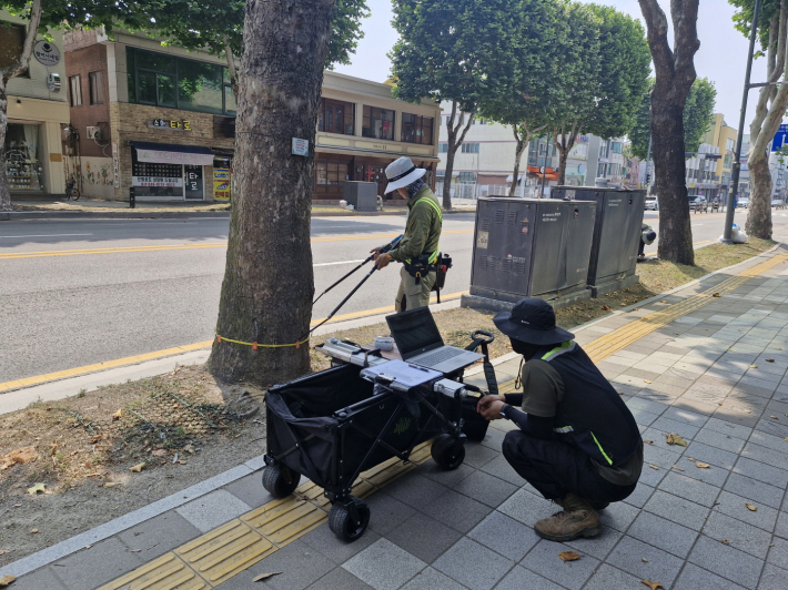 수간 단층촬영을 하며 수목 내부 부후를 확인하고 있는 모습