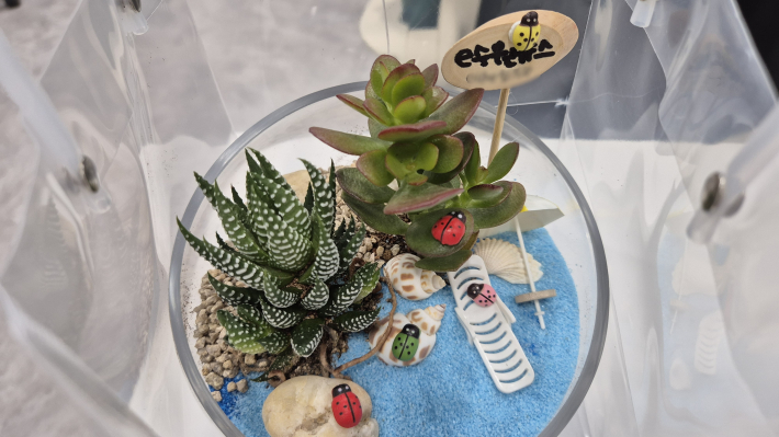 참가자가 만든 '힐링다육테라리움'