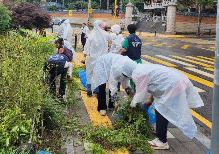 통장협의회원들이 무성하게 자라난 잡초를 정리하고 있다