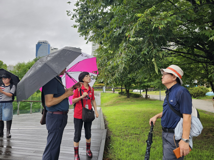 버드나무 씨앗이 이렇게 작구나