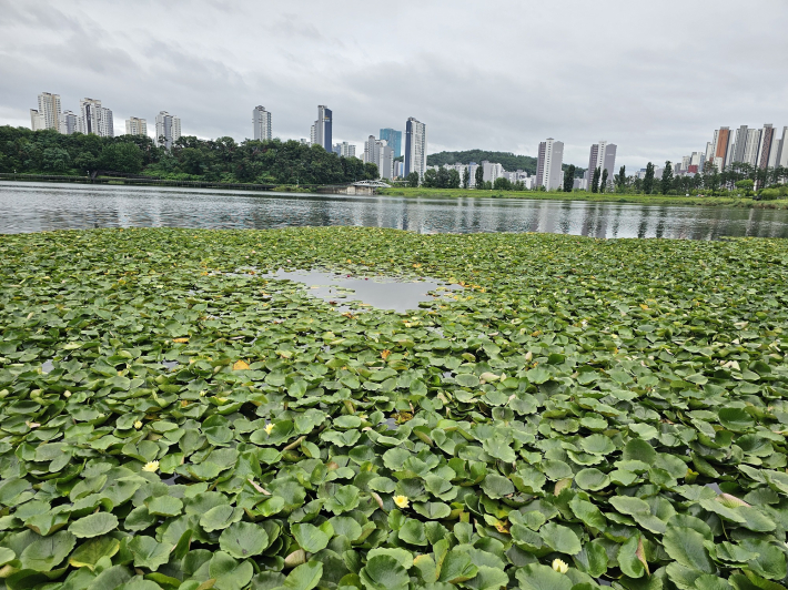광활한 원천호수