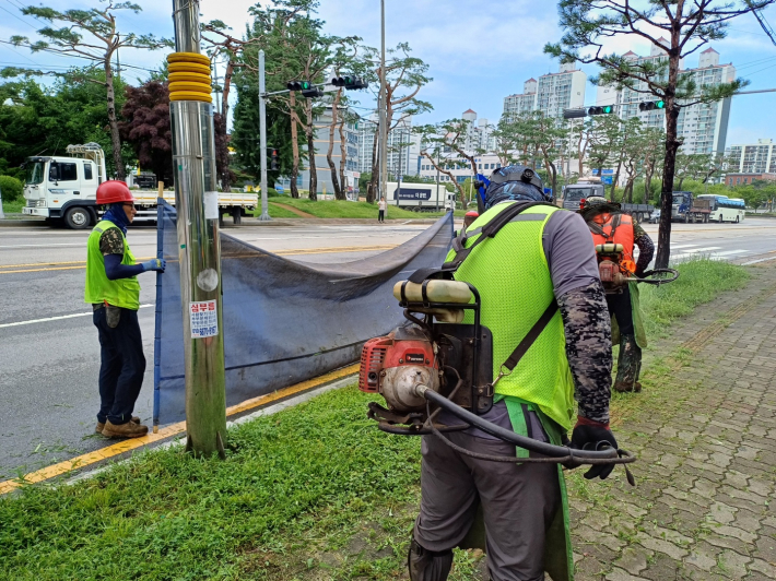 장안구 주요 도로변 띠녹지 예초를 진행하고 있는 모습이다.