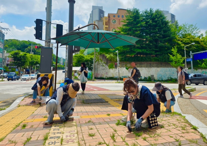주안말 사거리에 위치한 교통섬 곳곳에 무성하게 자라난 잡초를 제거하는 모습