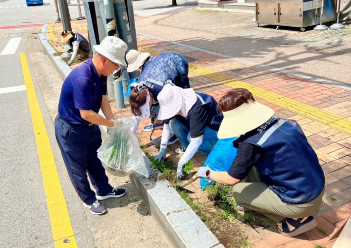 조원공원 사거리 인근 환경정비