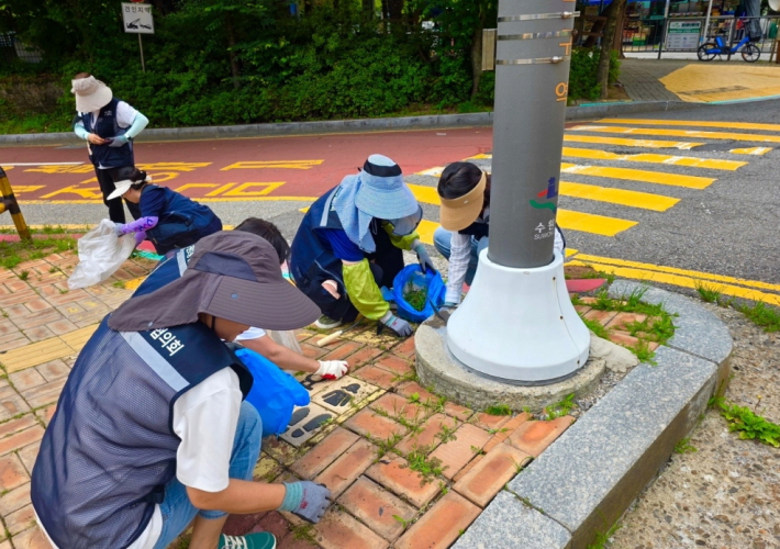 송원초등학교 앞 교통섬 인근