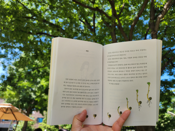 숲속 그늘 캠핑의자에 앉아서 책을 읽다