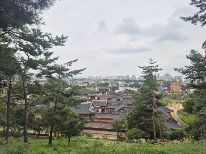 화성행궁 전망대에 서니, 초록으로 물든 수원화성이 한눈에 들어온다. 여름의 숨결이 고스란히 깃든 풍경이다.