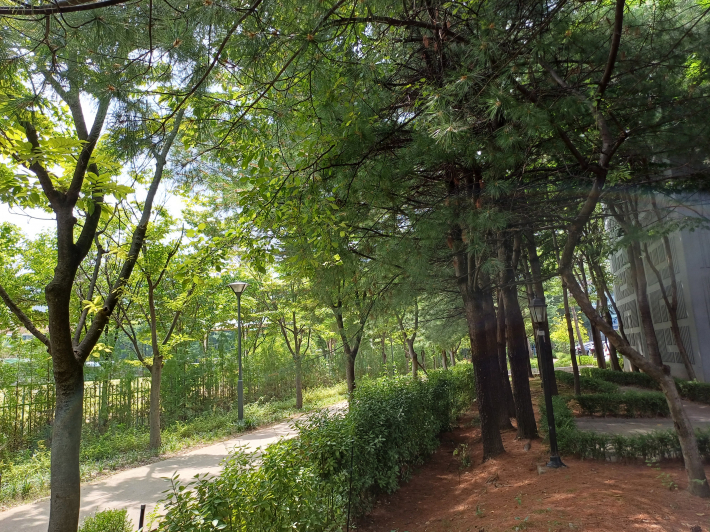 그늘이 형성된 그린 지역 풍경