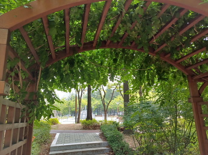 솔뫼 어린이 공원과 연결된 터널 숲 