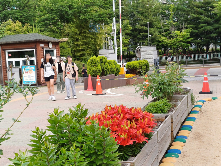 효천초 정문, 친환경 나무로 만든 '손바닥 정원'