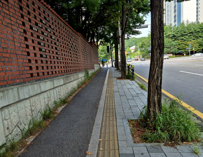 집 주변의 시각장애인용 보도들럭이 있는 길