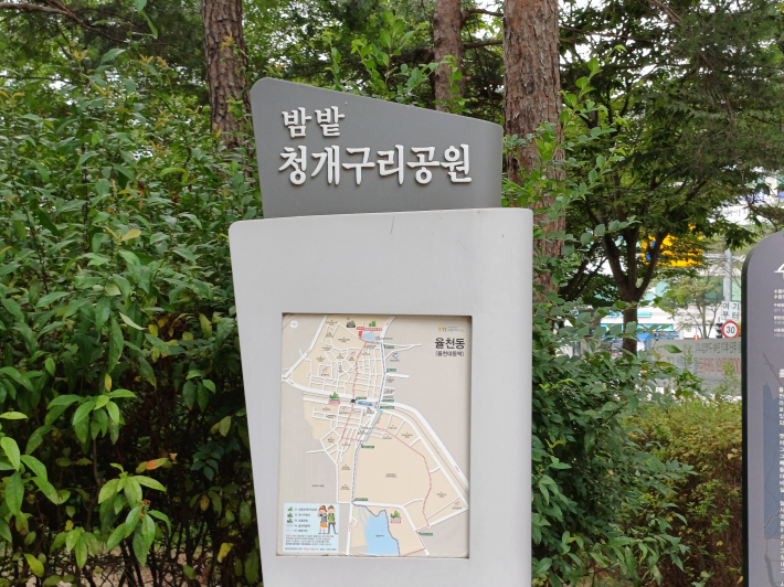 밤밭청개구리공원