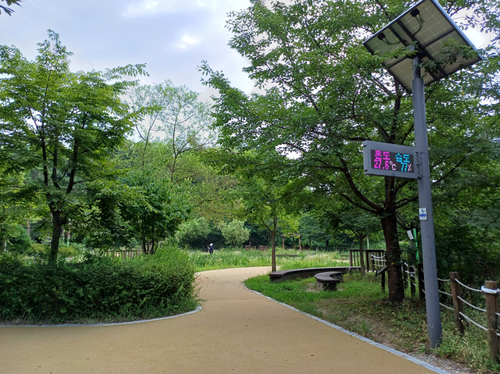 새로 단장한 황톳길 전경